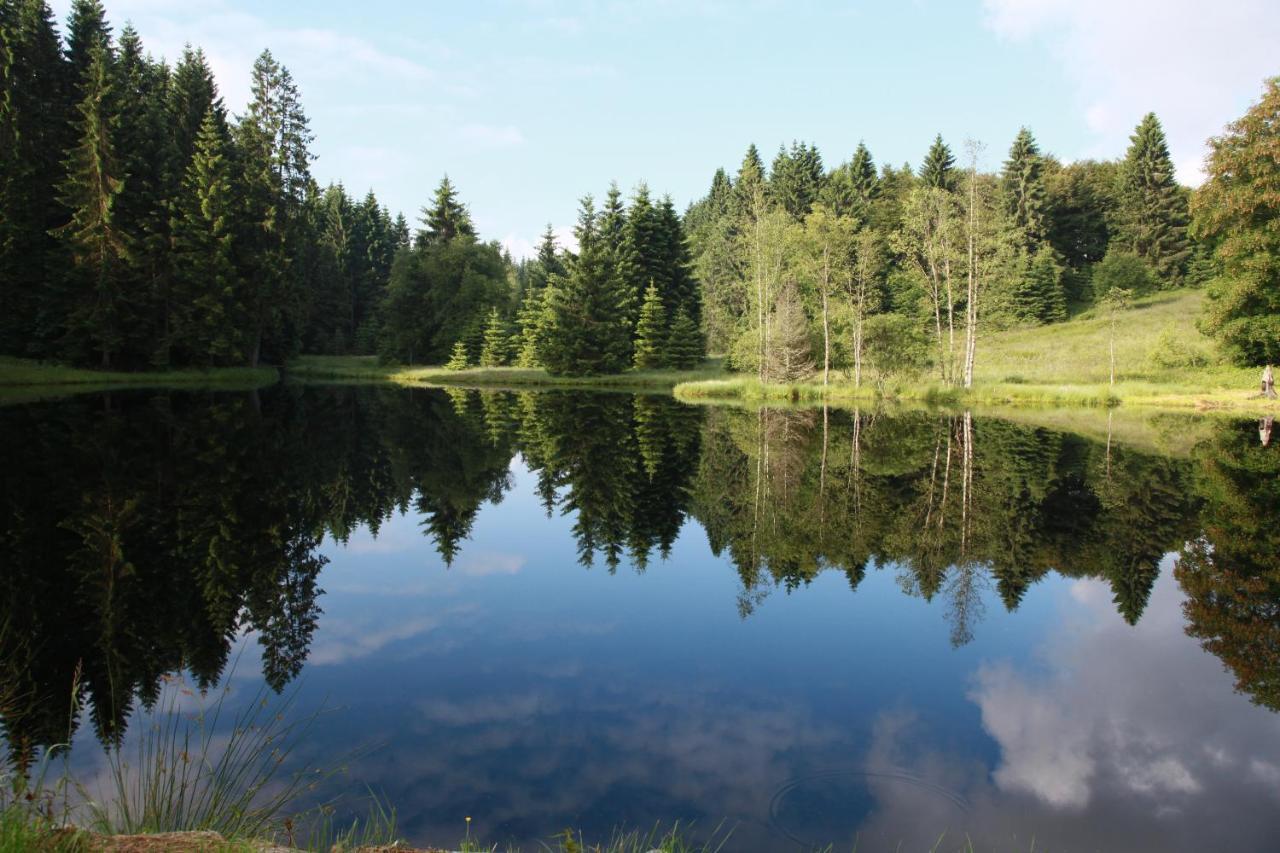 Chalet Des Rochires Жерарме Екстер'єр фото